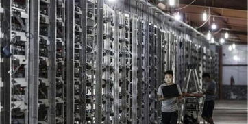 A vast mining farm integrating renewable energy sources to host numerous mining rigs efficiently
