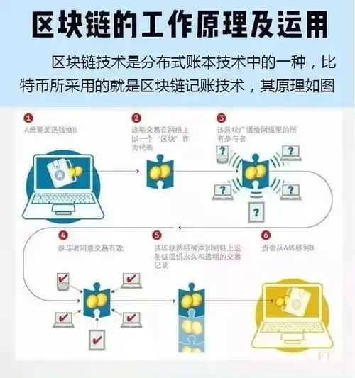 Advanced Mining Farm showcasing efficient cooling and infrastructure